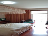 其它圖