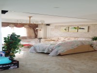 其它圖