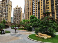 實(shí)景圖