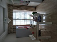 其它圖