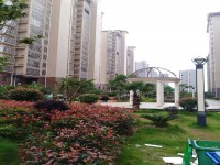 其它圖