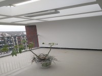 其它圖