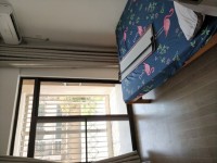 其它圖