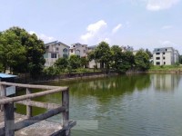 其它圖