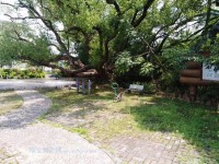 其它圖