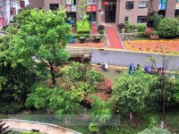 其它圖