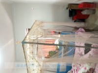 其它圖