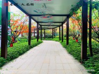 實(shí)景圖
