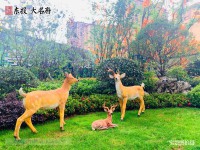 實(shí)景圖