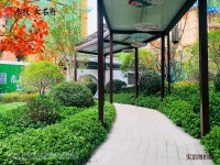 實(shí)景圖