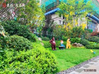實(shí)景圖