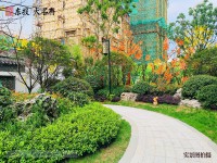實(shí)景圖