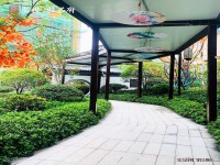 實(shí)景圖
