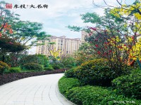 實(shí)景圖