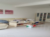 其它圖