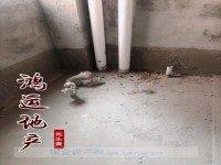 其它圖