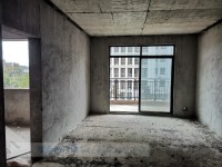 其它圖