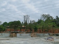 實(shí)景圖