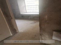 其它圖