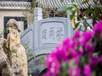 實(shí)景圖