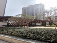 其它圖