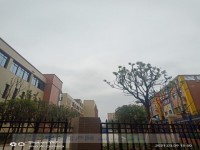 其它圖