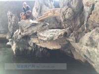 其它圖