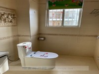 其它圖