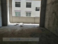 其它圖