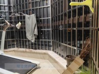 其它圖