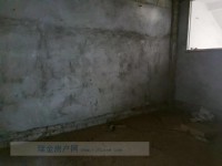 其它圖