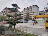 其它圖