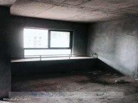 其它圖