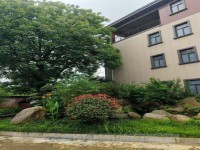 其它圖