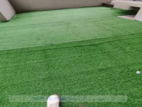 其它圖