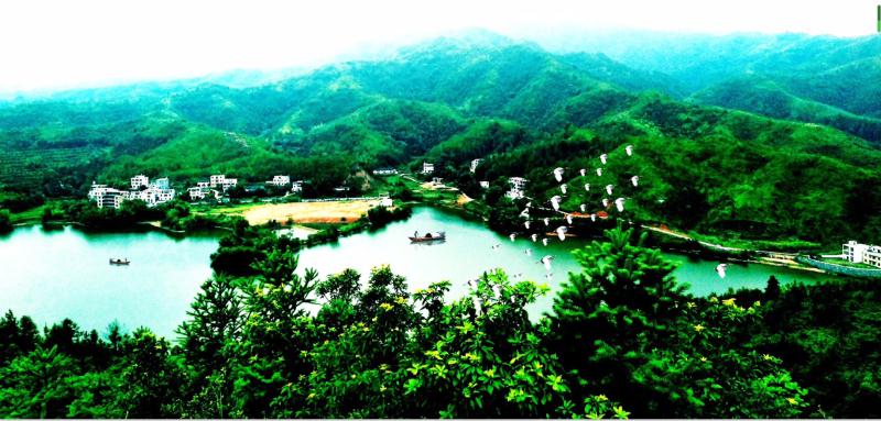 贛縣區(qū)堅(jiān)持綠色生金 打造“贛州后花園”-中國網(wǎng)地產(chǎn)