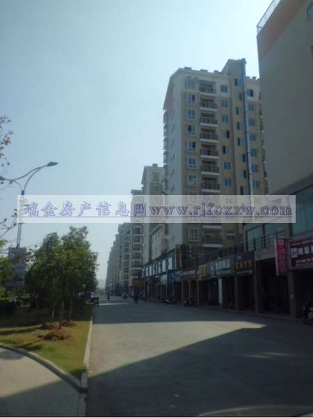 實景圖