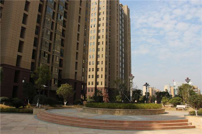 實(shí)景圖