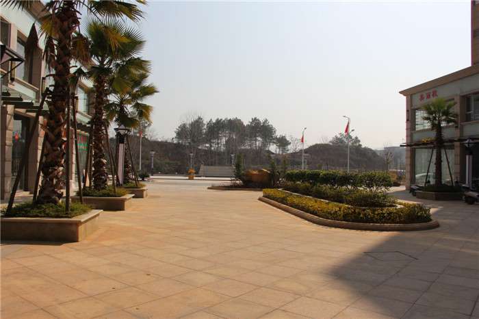 實(shí)景圖